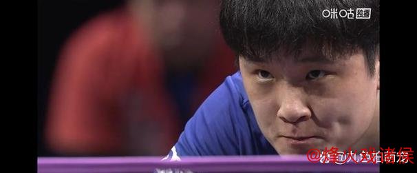 张本智和夺冠后,为何观众认可度不高? 张本智和夺冠后,为何观众认可度不高?
